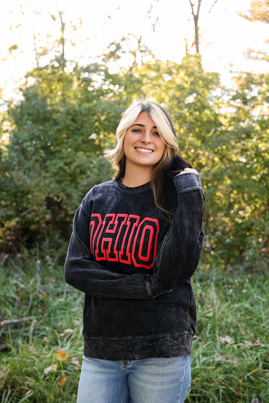 OHIO Puff Mineral Graphic Sweatshirt