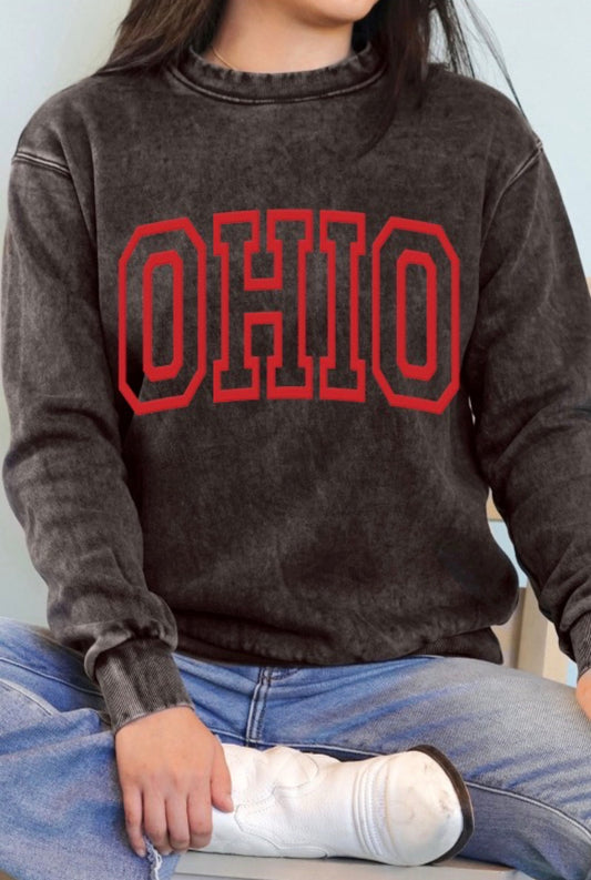 OHIO Puff Mineral Graphic Sweatshirt