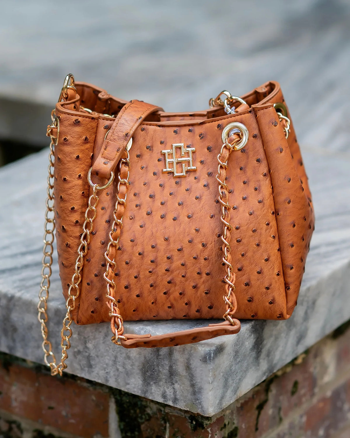 Caroline Hill Mini Saddle Tote Bag